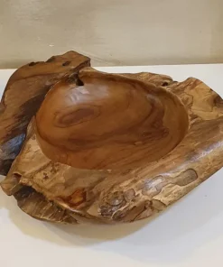 Schaal van teak wortel