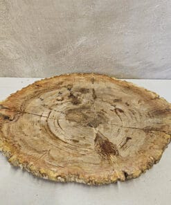 Schaal beige plat