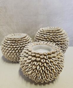 Waxinelicht met Kauri schelp. Beige