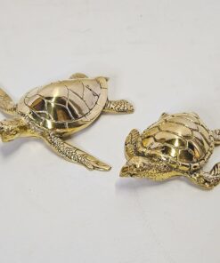 Schildpad brons