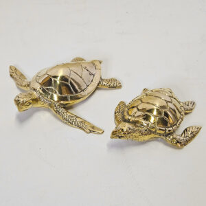 Schildpad brons