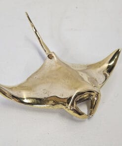 Mantaray brons