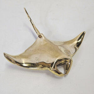 Mantaray brons