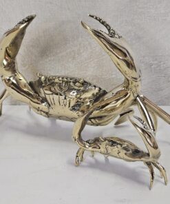 Krab brons