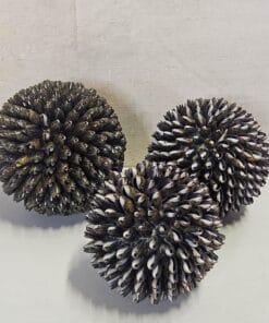 Schelpenbollen Buli. Set 3