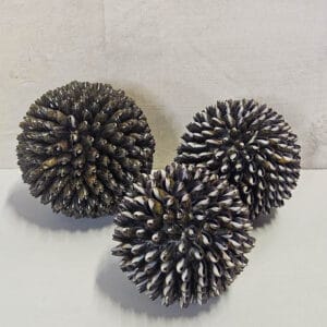 Schelpenbollen Buli. Set 3